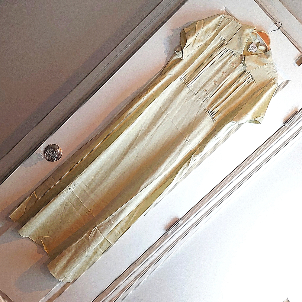 NWT Eveliina Vintage for J Crew Silk Maxi Dress